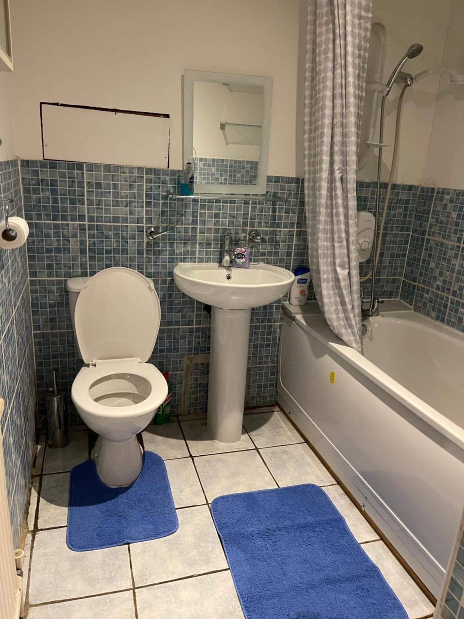 1 Bed Flat Londra